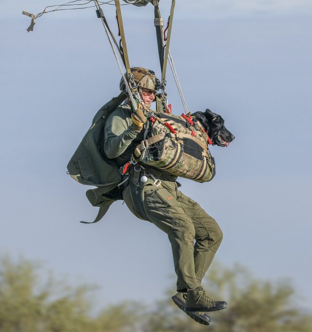 Military jumper gaining tactical experience flying a parachute with a canine in a K9 jump bag utilizing the CPS Special Operations Vector Multi-Mission (SOV3-MM2) Harness/Container System